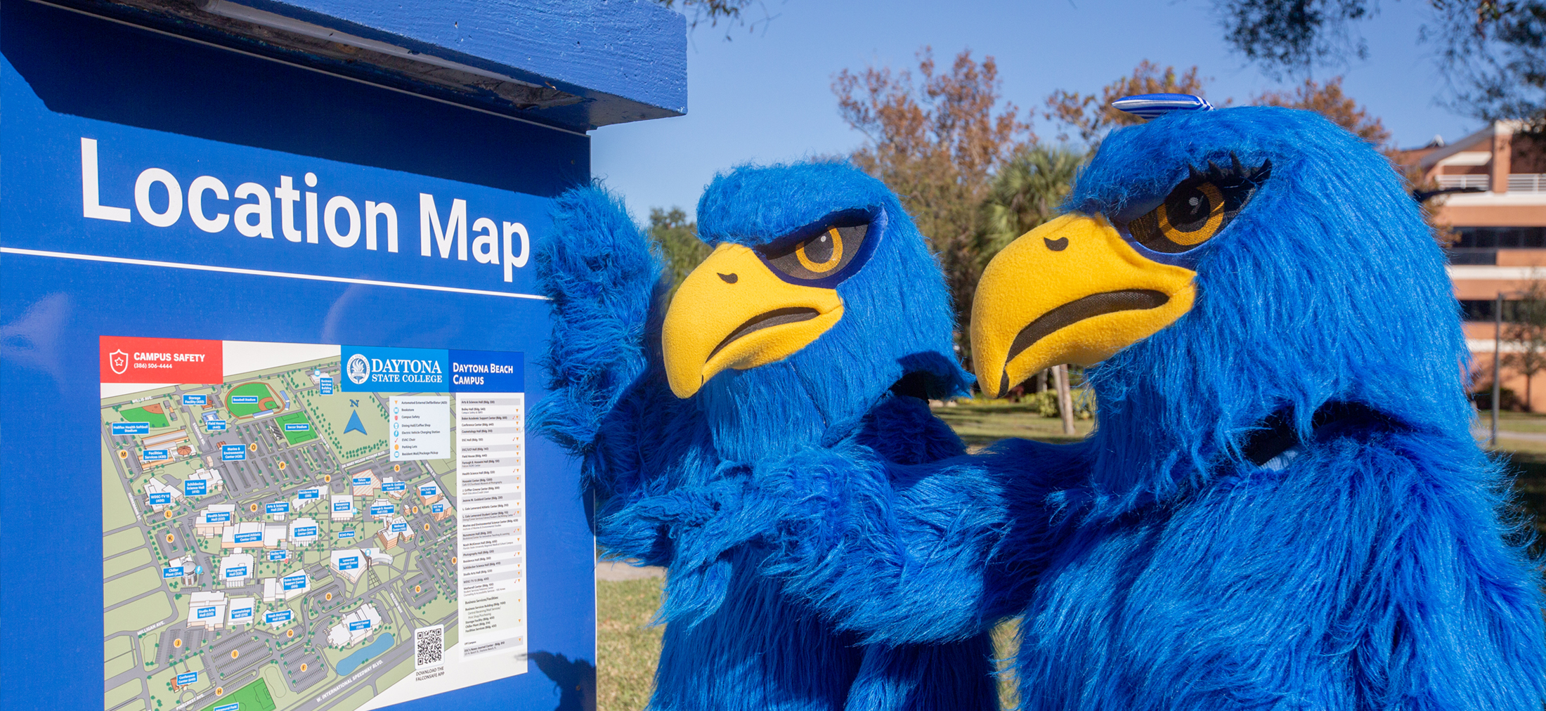 Freddie Falcon looking at a location map