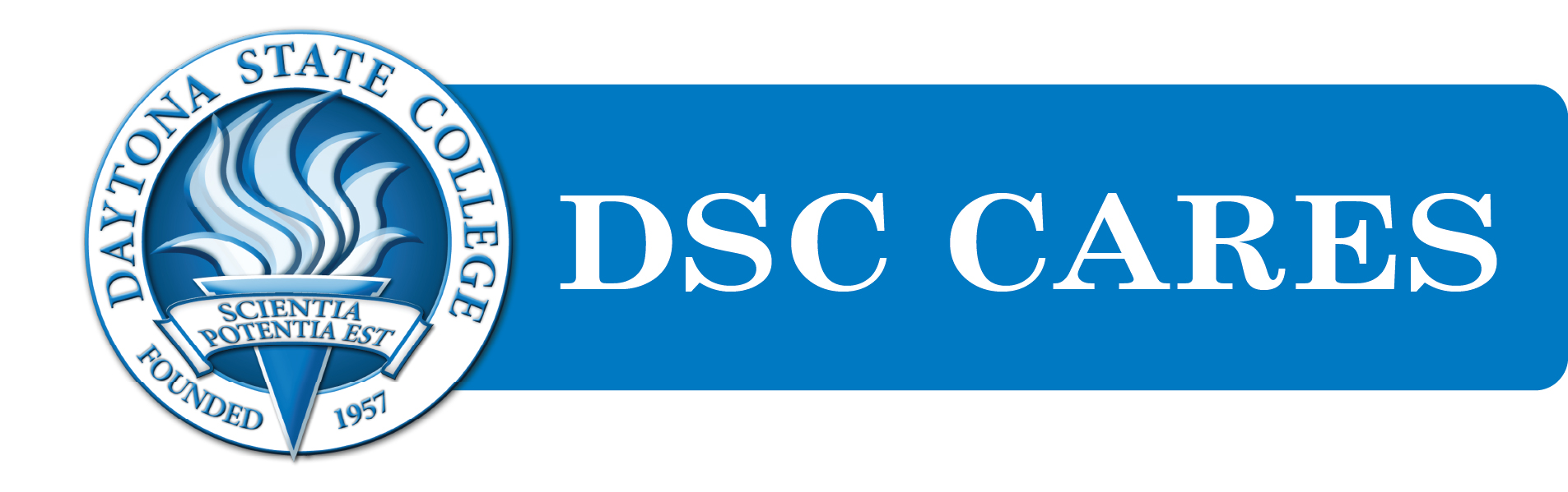 dsc cares logo