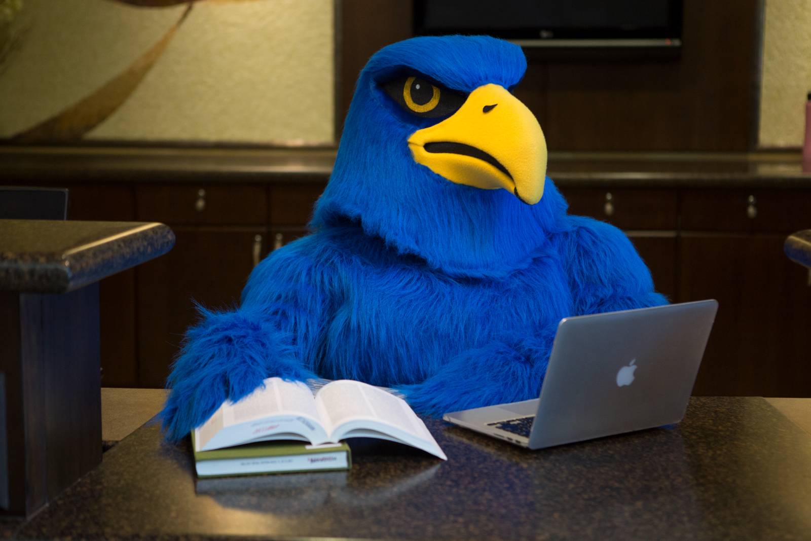 Freddie Falcon at a desk with laptop and books