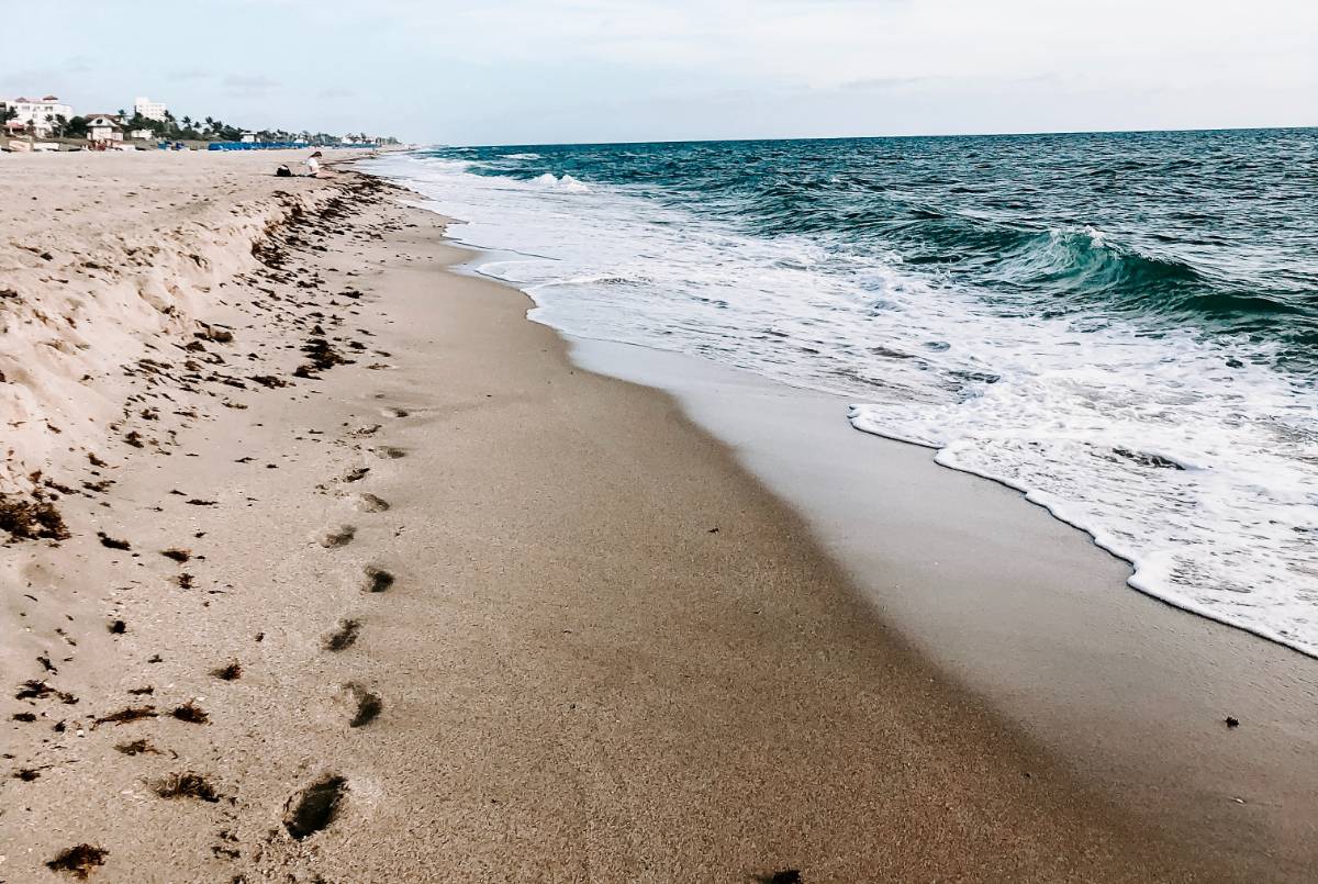 shore line with footprints