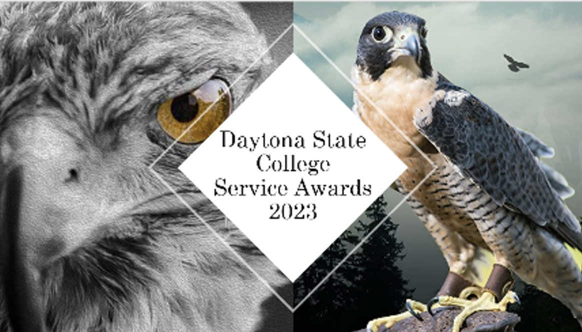 2024 Service Awards cover image with falcon